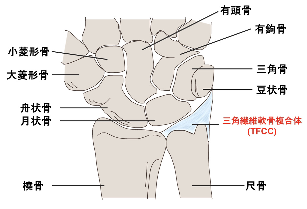 産前産後から始まる手首の痛み～不調、症状を解説！～